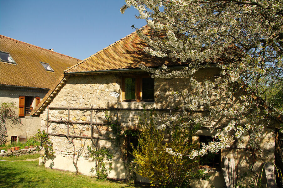 Les Ombelles, gîte Lavande et cerisier en fleurs