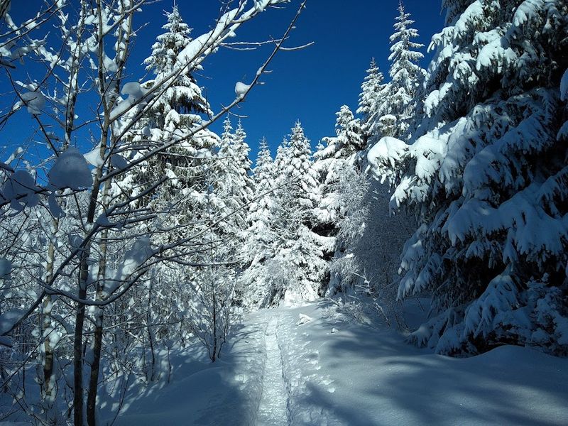 sentiers raquettes Voirons