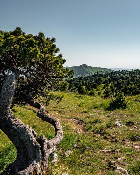 Randonnée pédestre : Thoiry en Molie et les Hauts Sommets_Thoiry