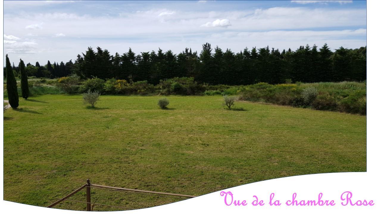 La Coccinelle d'Emilie, Noves - photo 59