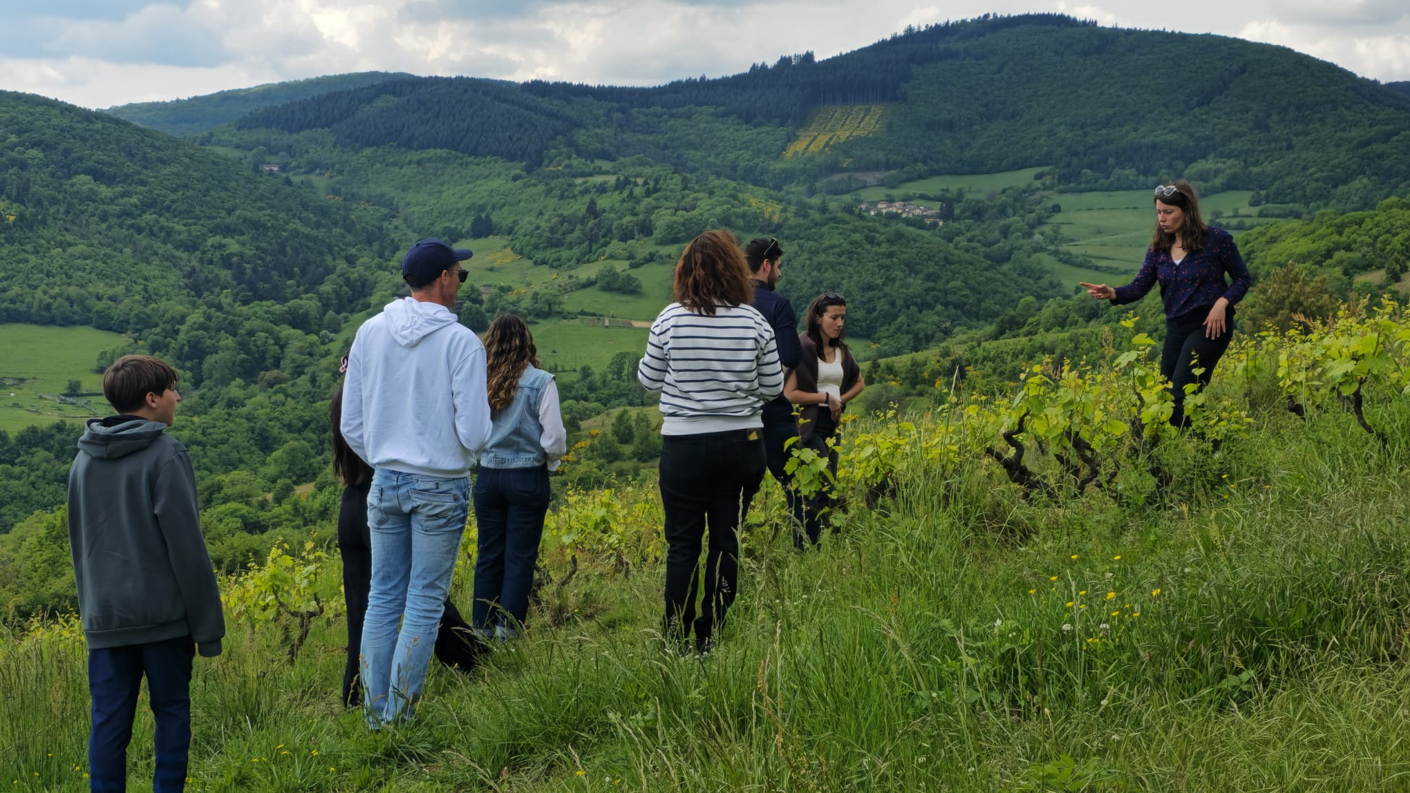 Balade dans les vignes et Dégustation 4 vins bios