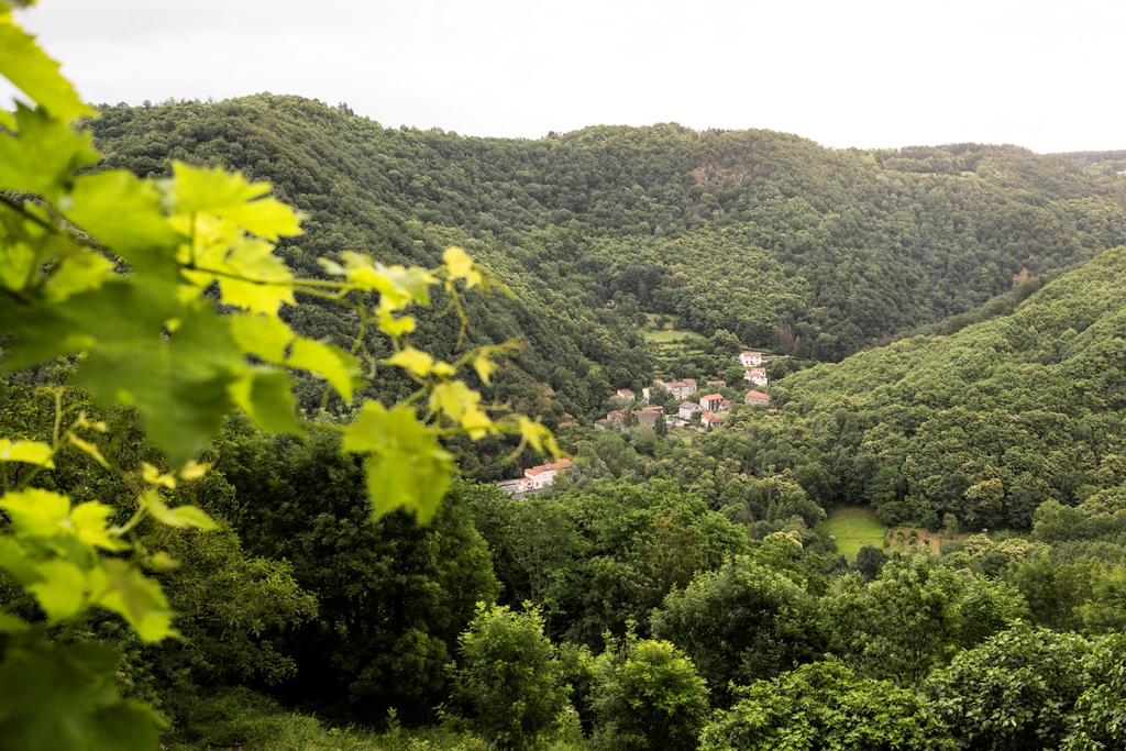 TRIPINWILD_05