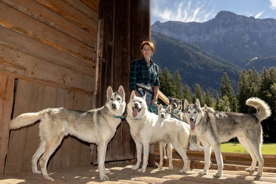 Découverte du mushing - Offre spécial groupes_Champéry