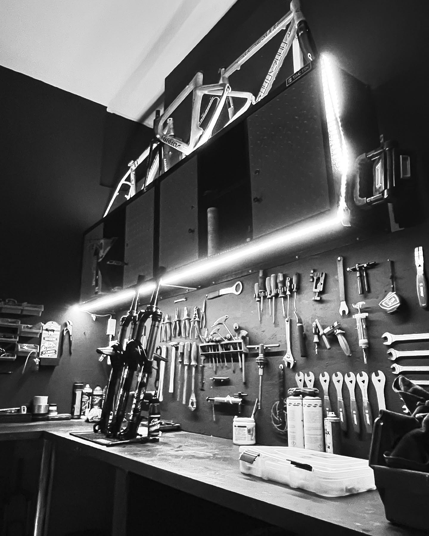 TSL cycles - photo 4