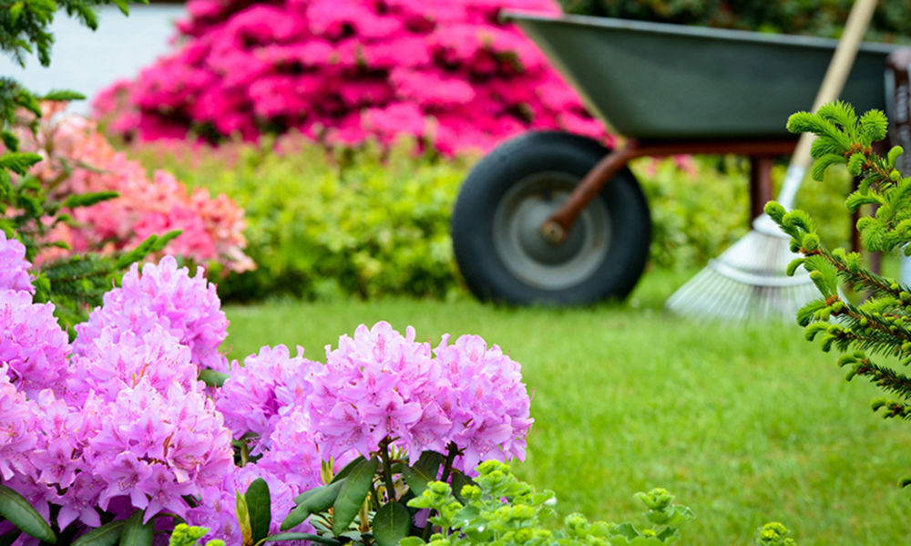 EARL Deroux Plants - Horticulteur
