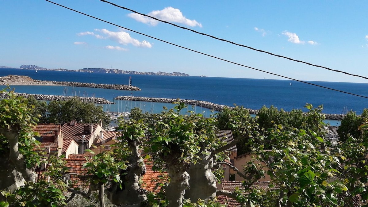 Villa Magenta - photo 5