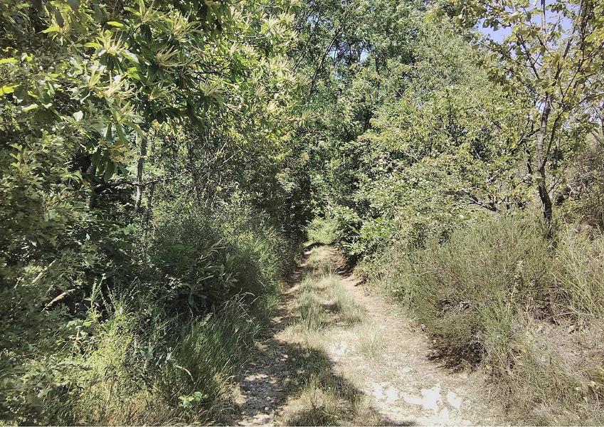 PLATEAU DE GRILLE MIDI