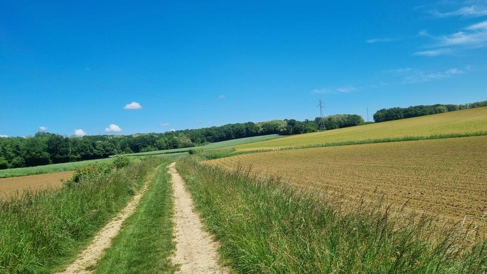Circuit VTT-VTC n°27 (noir) - Les domaines de Bresse