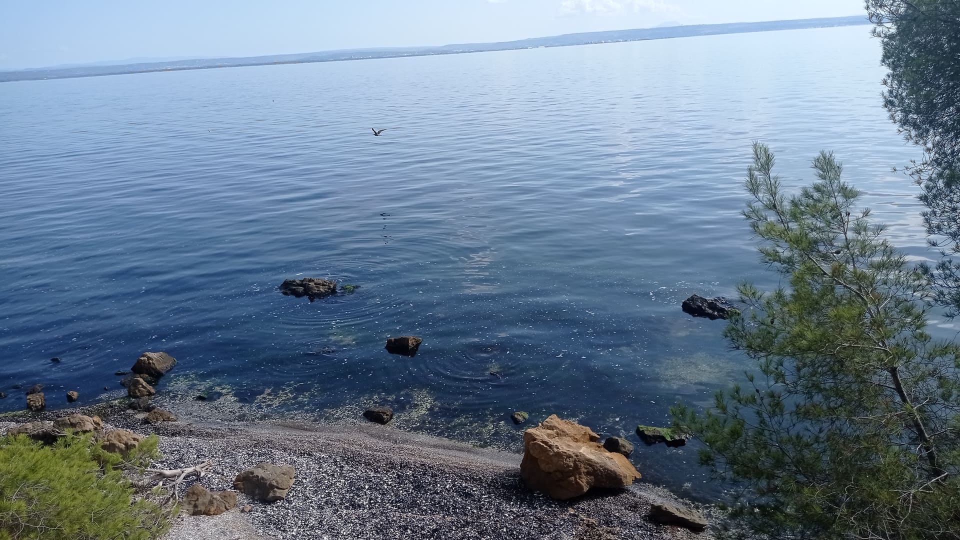 Sentier entre mer et étangs - photo 4