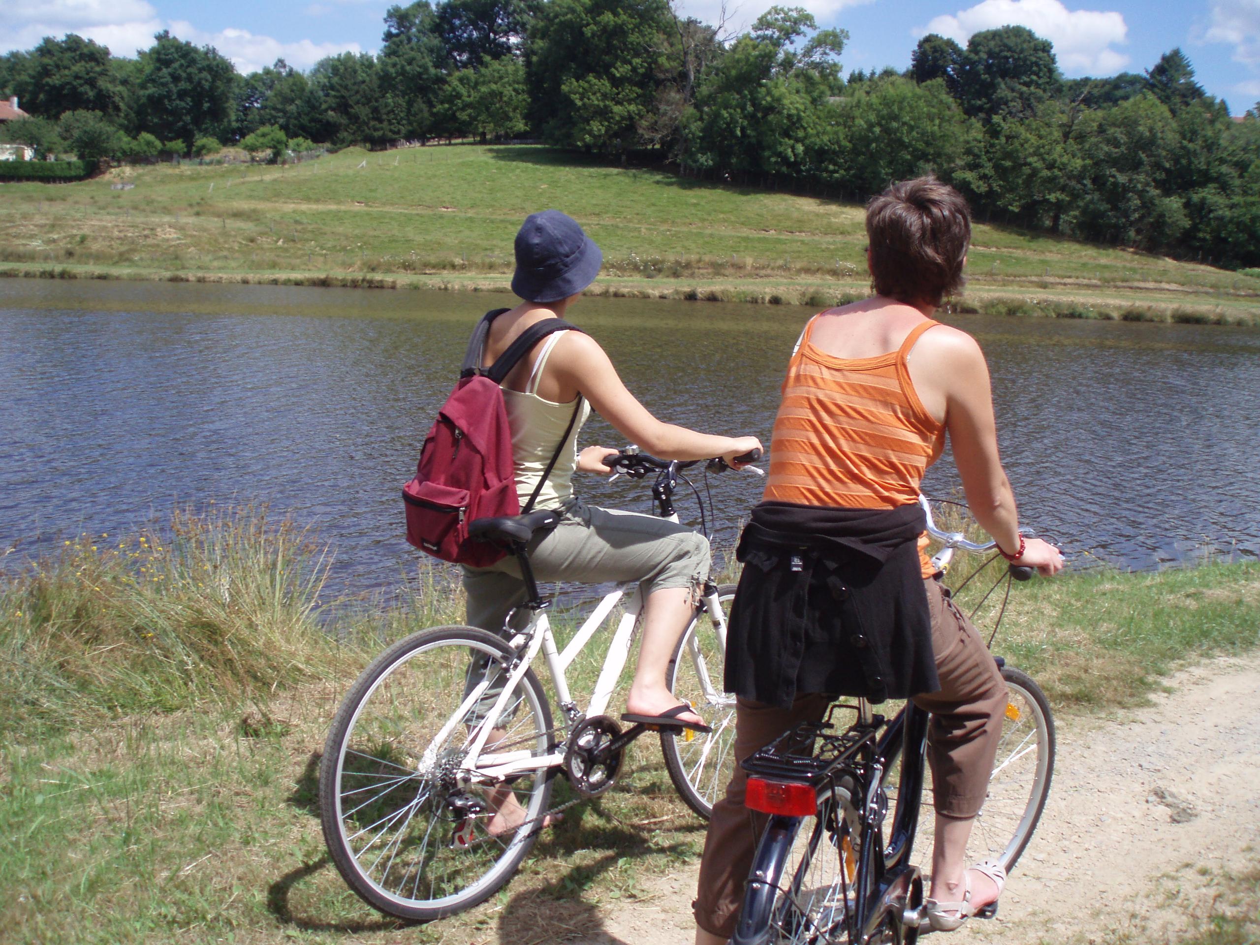Gare de vélo rail , Location VTT -VTC