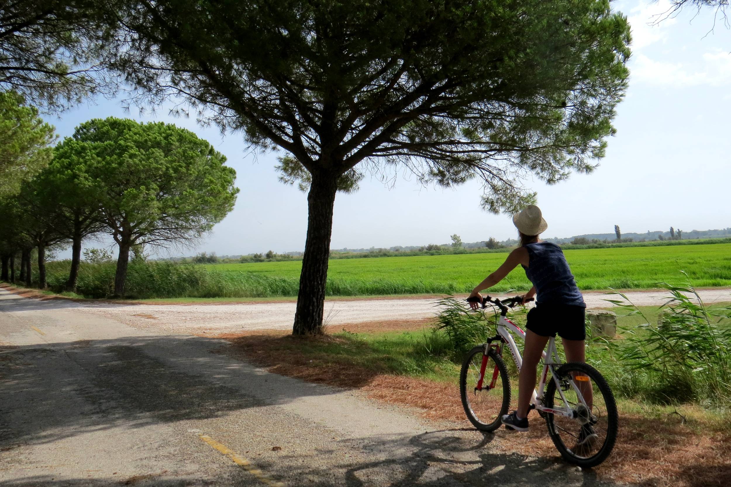 ARLES - Autour du riz et des chevaux de Camargue à vélo — photo 3