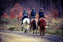 Randonnée équestre dans le Forez_Saint-Nizier-de-Fornas