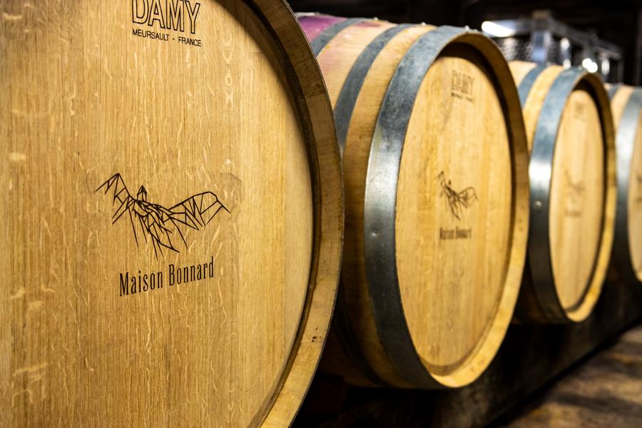 Les sens de la vigne