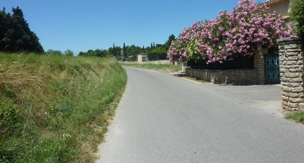 La Farigoule, Plan-d'Orgon - photo 37