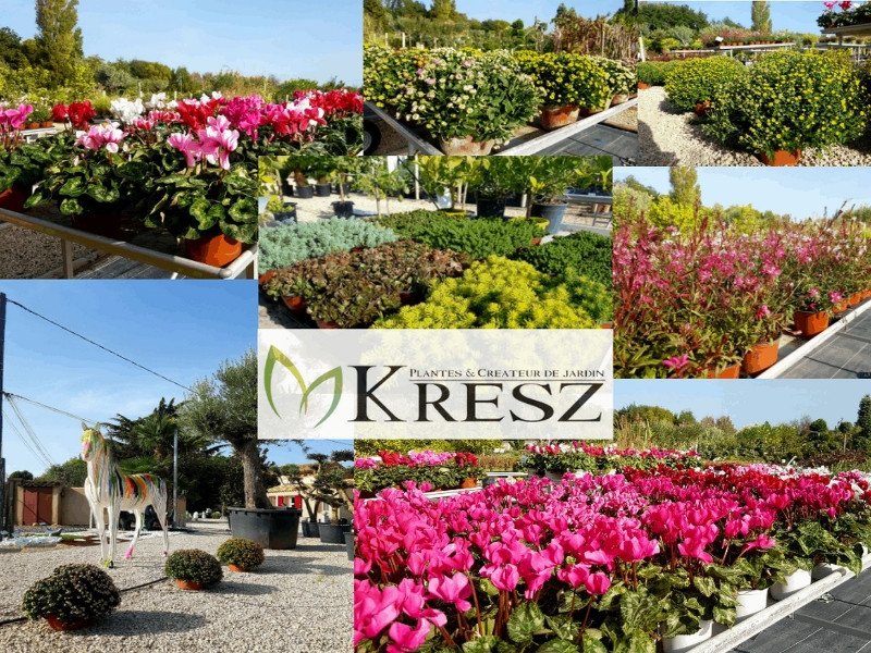 Pépinière et jardinerie Kresz