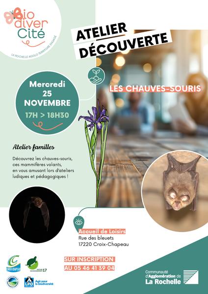 Atelier - Découverte des chauves-souris