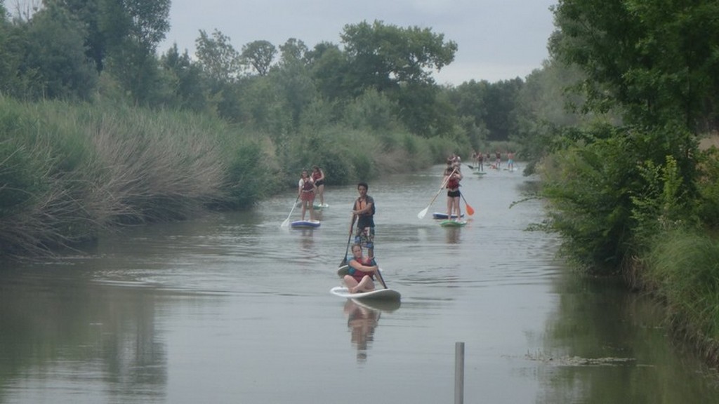 Stand Up Paddle : Exploration du Marais de Soumard