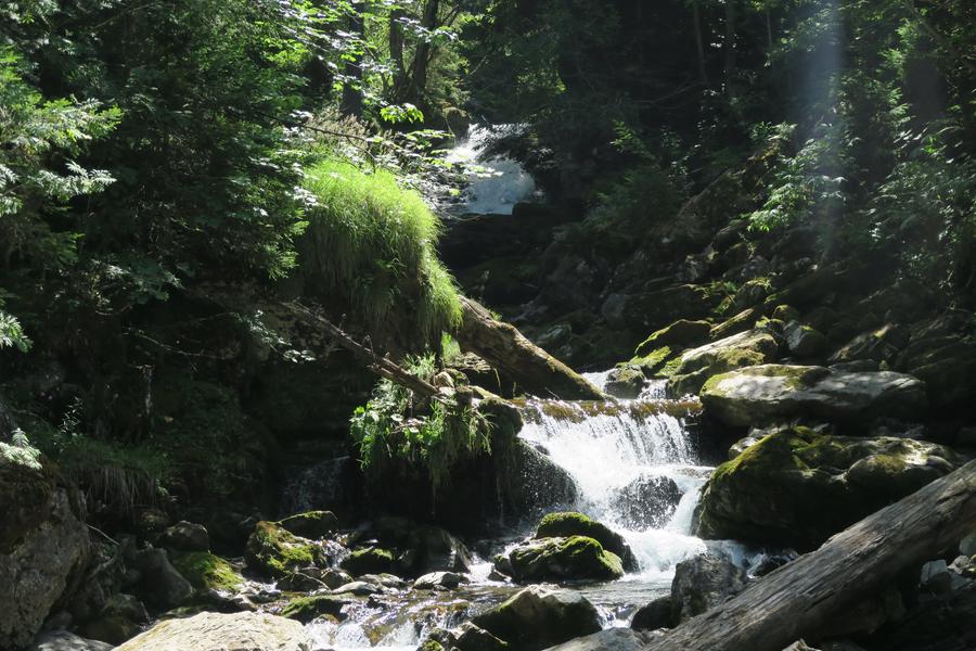 Sentier pédestre : Ardent aux Lindarets_Montriond