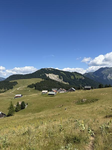 Randonnée au cœur des alpages de Vallon - Semaines du Géoparc_Bellevaux