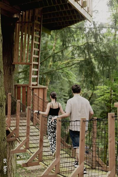 cabane dans les arbres