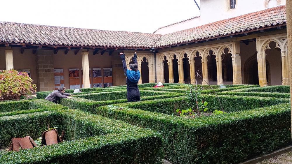 Création artistique - 1150 arbres à l'abbaye_Charlieu