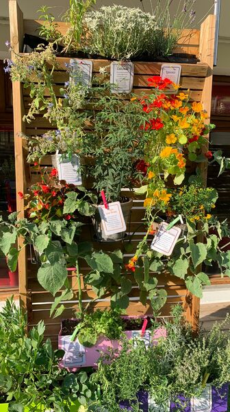 Restaurant Le Tremplin