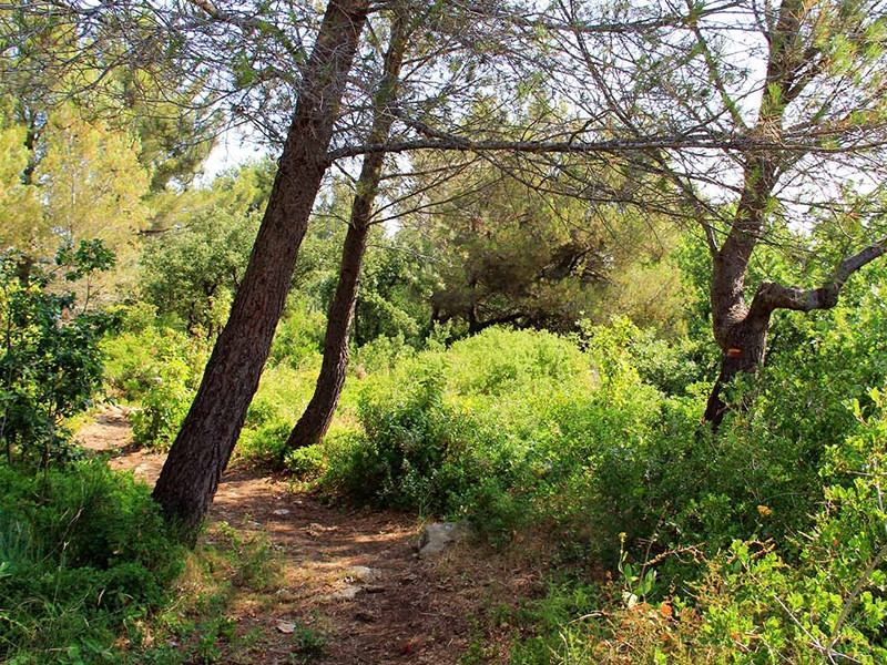 GR2013 - Boucle de l'Etang de Berre
