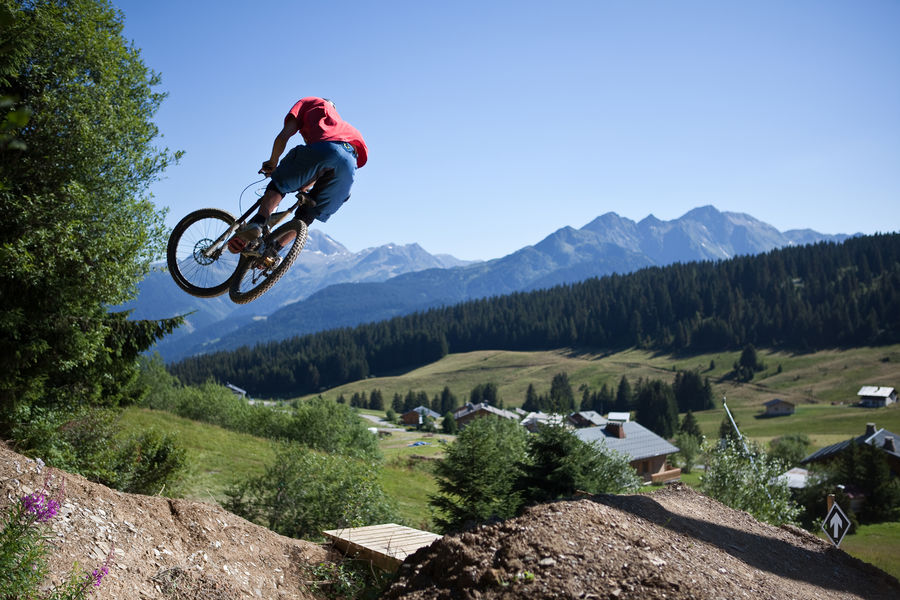 dh-vtt-double-noire-borat