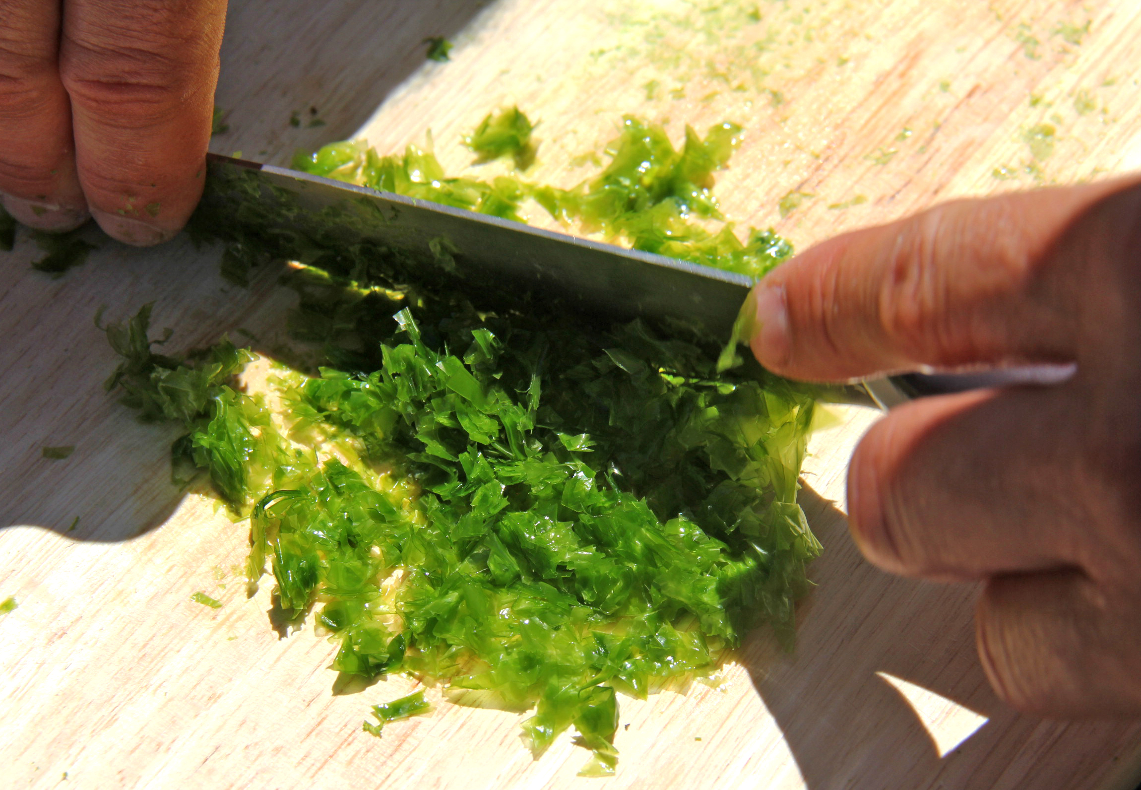 Algues : sortie découverte suivie d'un atelier cuisine