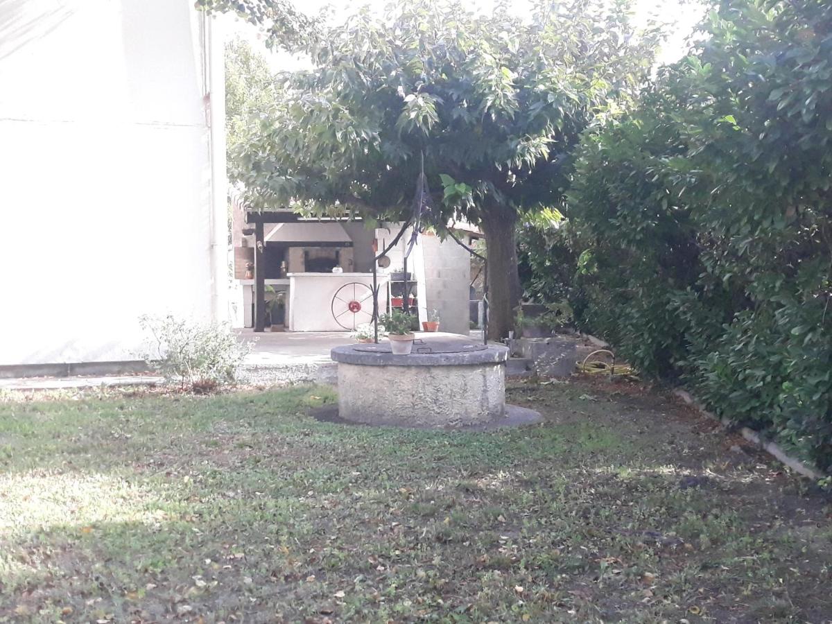 Maison Fenouil - photo 3