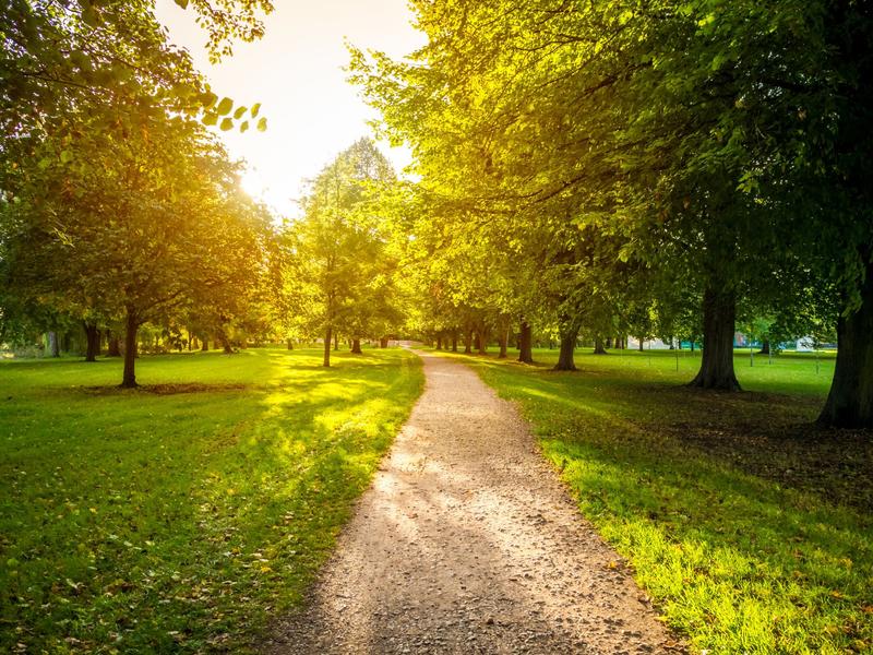 ​​​​​​​Parc Chevrier_Arpajon