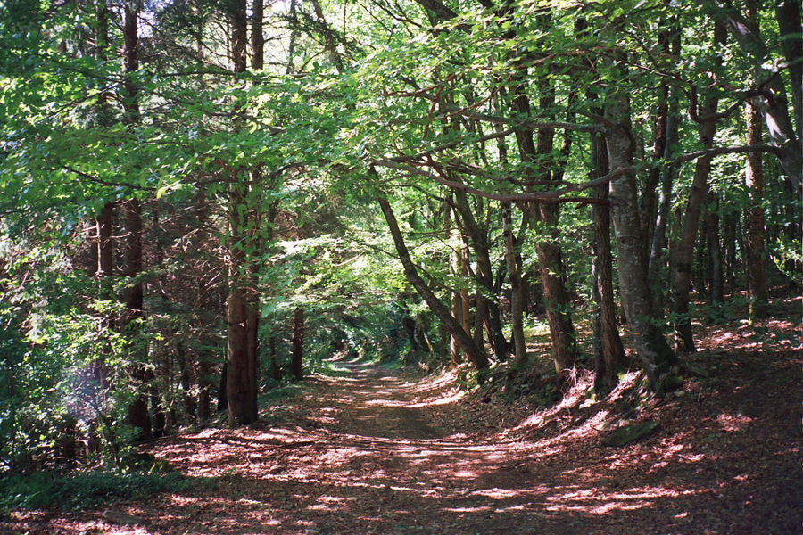 rando puech margot Fontrieu