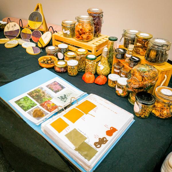 Les  encres végétales et leurs utilisations_Villages du lac de Paladru