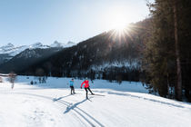 Couple de skieurs sur une piste de Ski nordique ensoleillée au Grand-Bornand