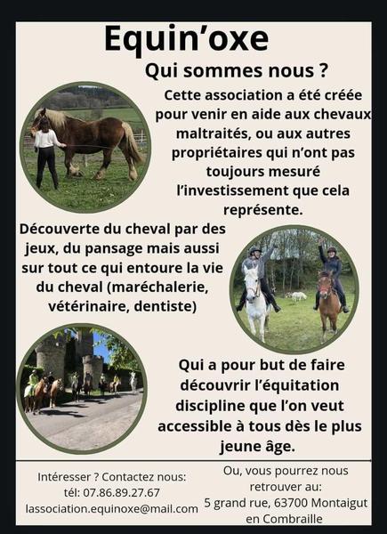 Equin'oxe activités équestres