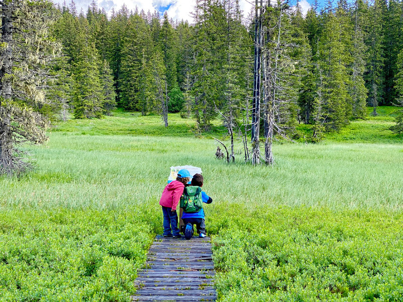Sentier des Arpelières