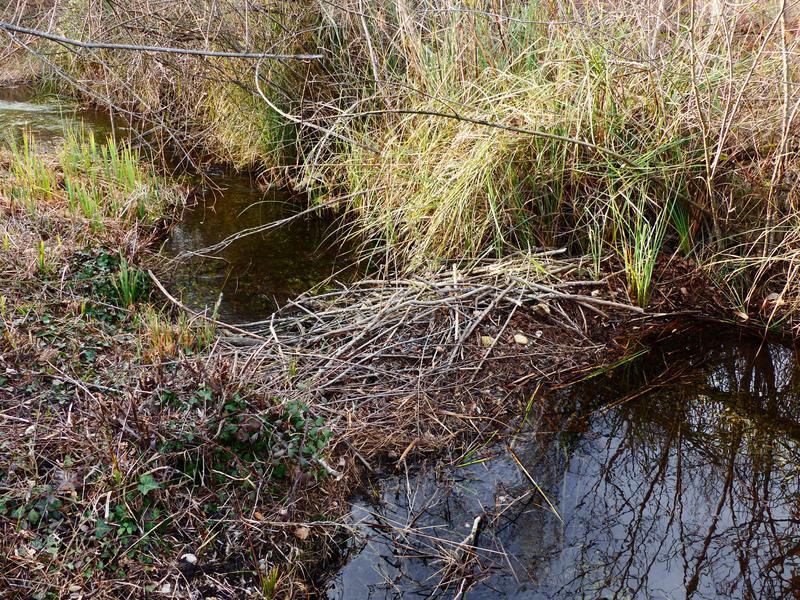 2020.01.29 - La Voulte (Printegarde)