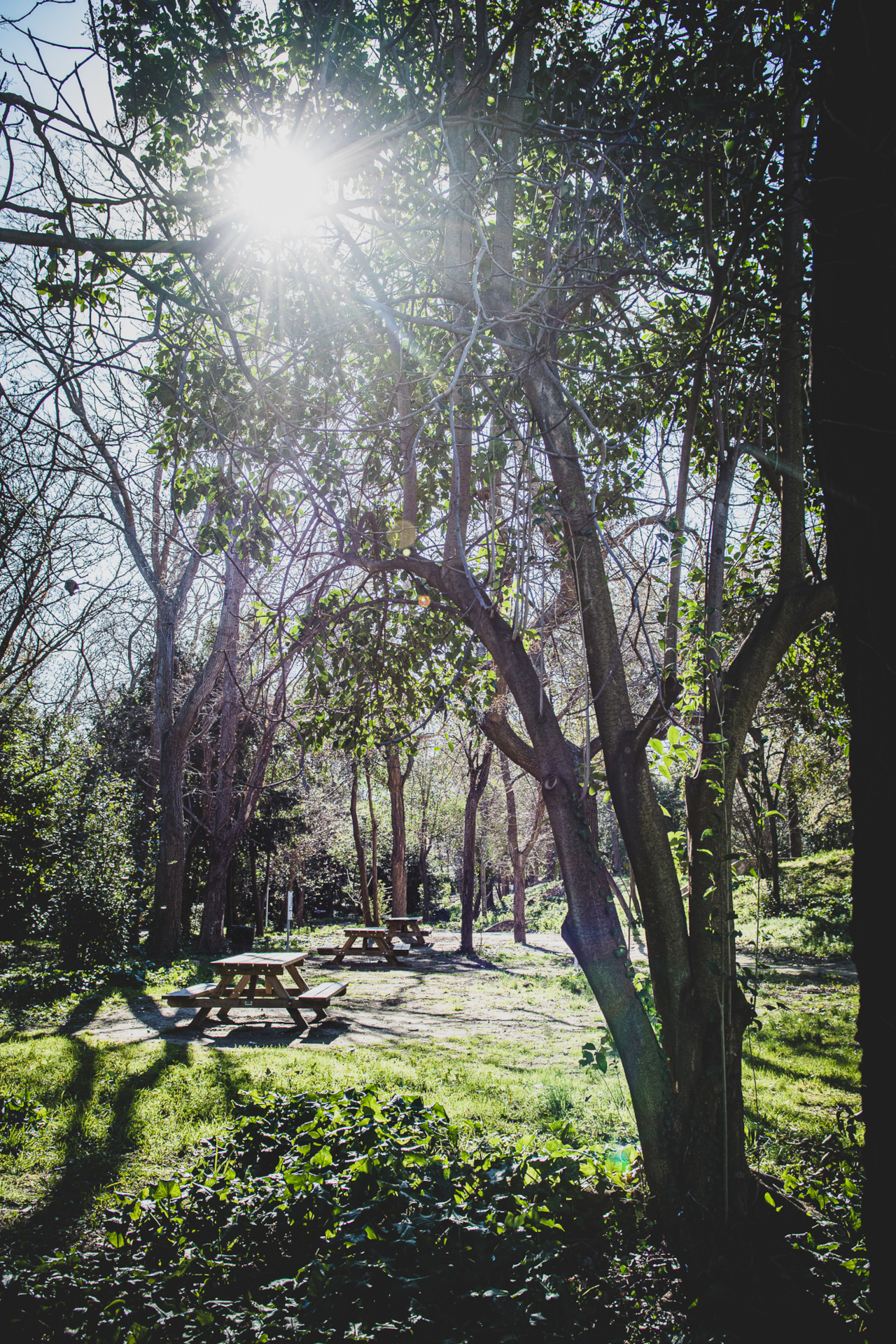 Parc François Billoux