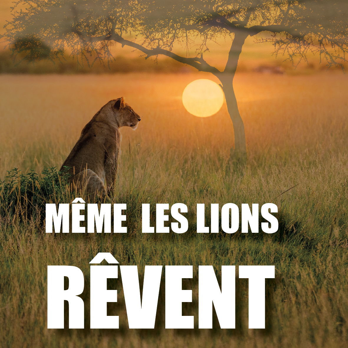 https://static.apidae-tourisme.com/filestore/objets-touristiques/images/109/32/…