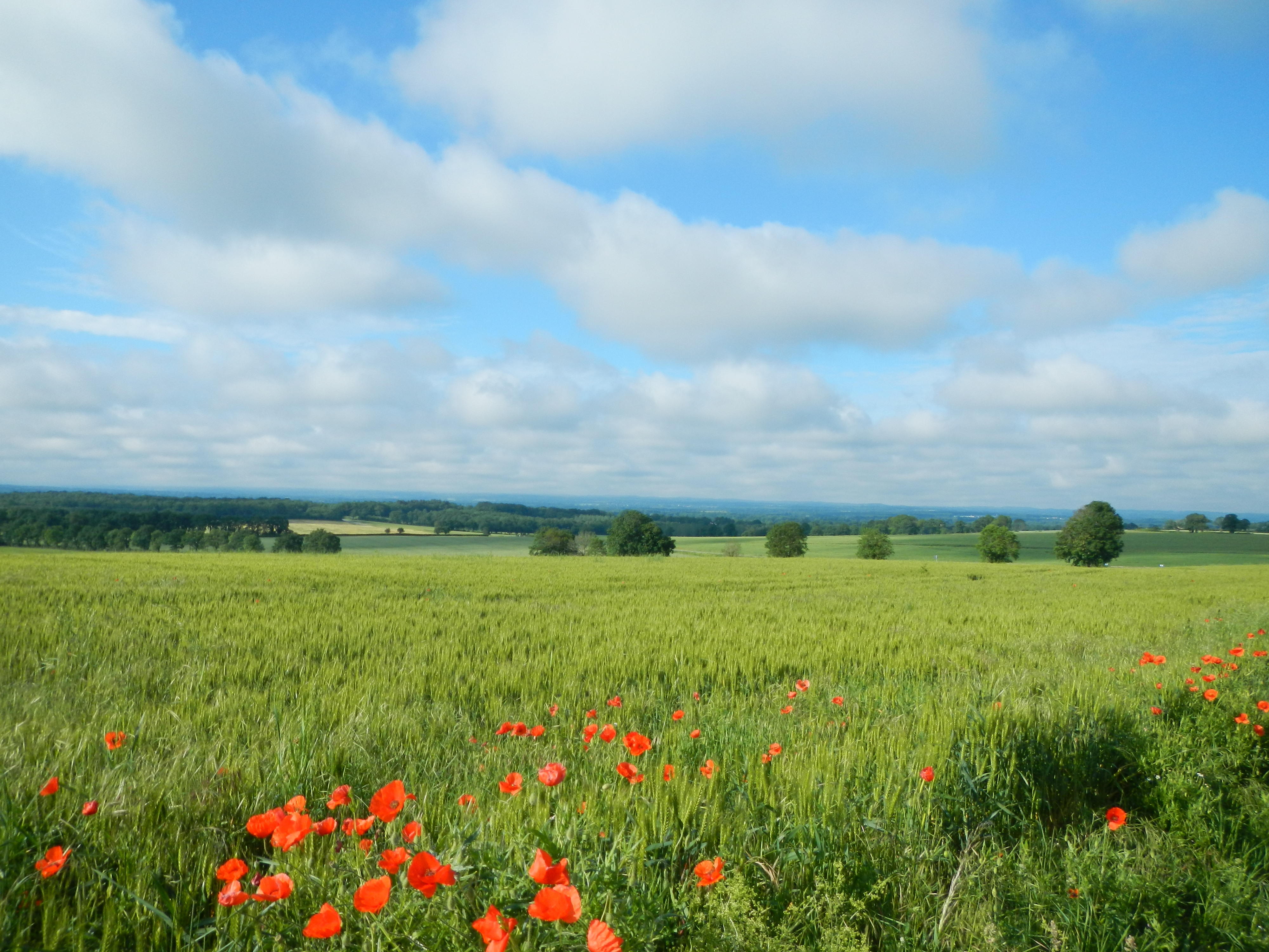 Paysage agricole credit photo APCA