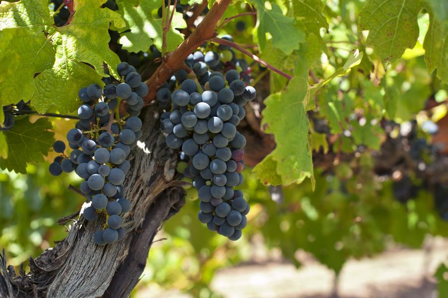 Jeudi de Champlong_Villerest