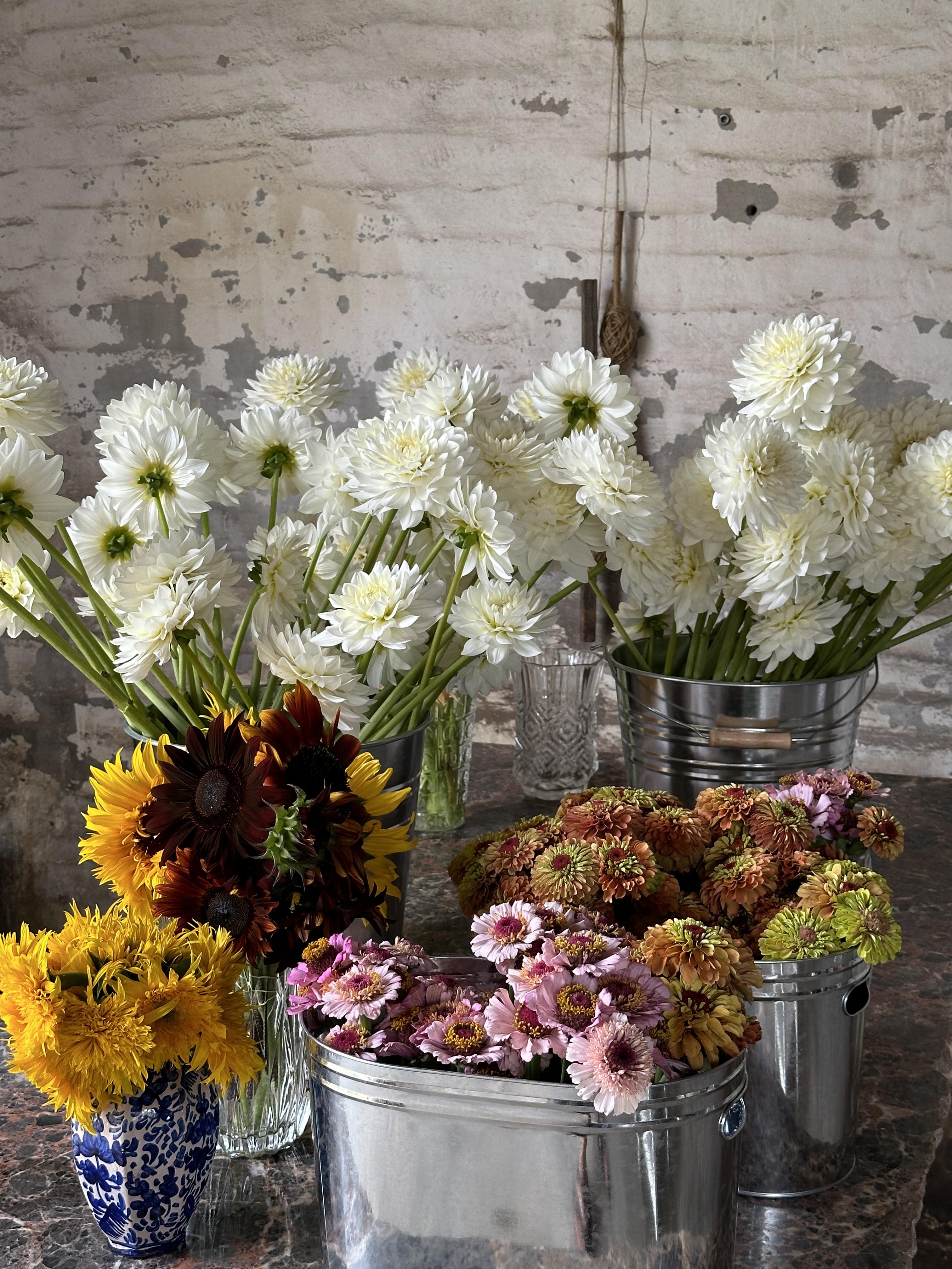 Atelier floral Chez Fleurs de Roussillon