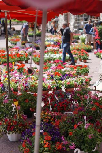 Marché aux fleurs_Val-d'Isère