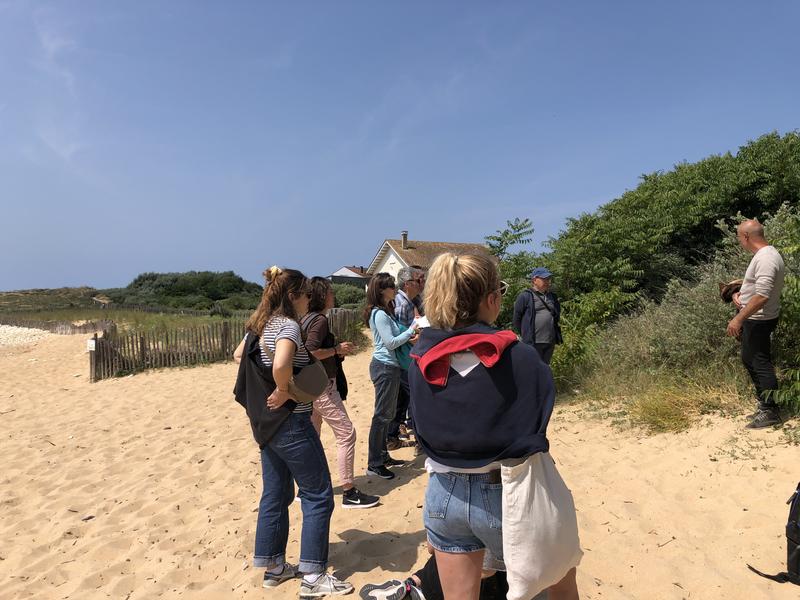 Sortie découverte des plantes sauvages de l’île d’Oléron