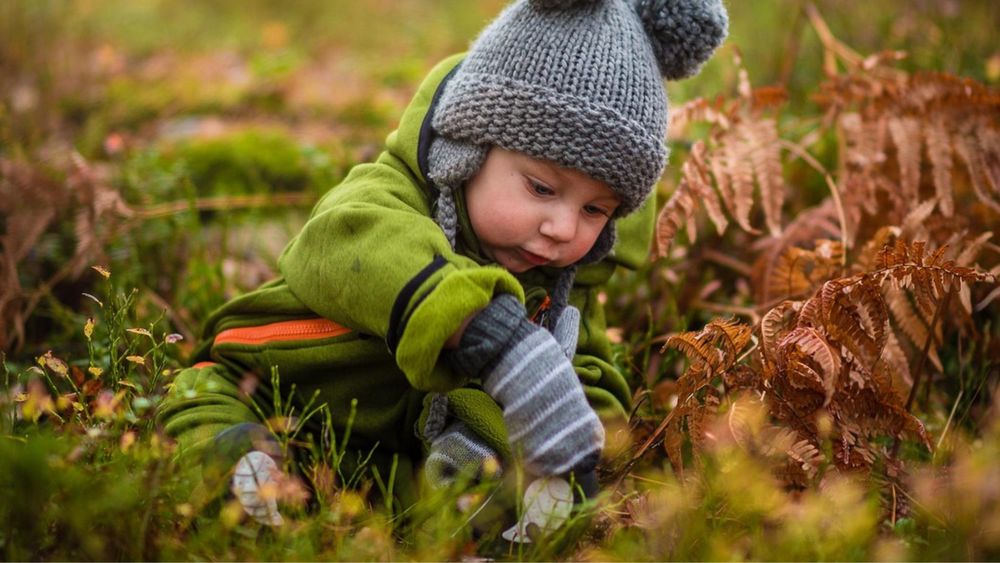 Racontines : cache-cache dans la nature