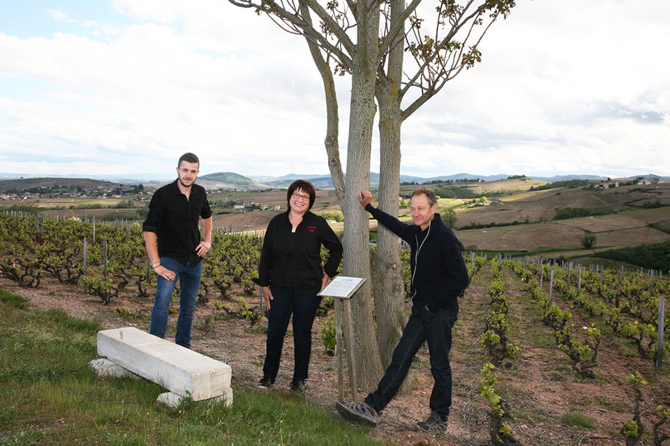 Pique nique au sommet des vignes de Grille Midi