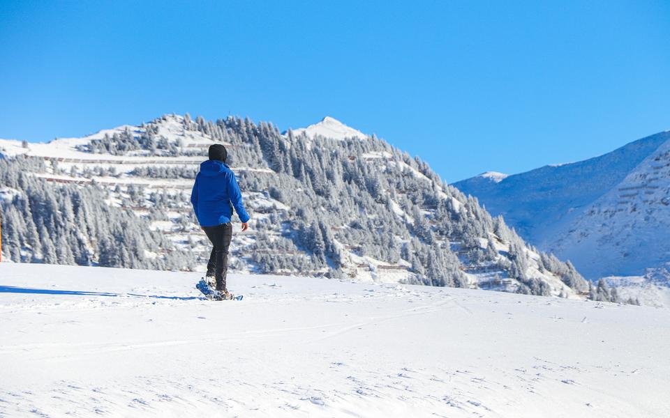 Sortie en raquettes à neige tous niveaux