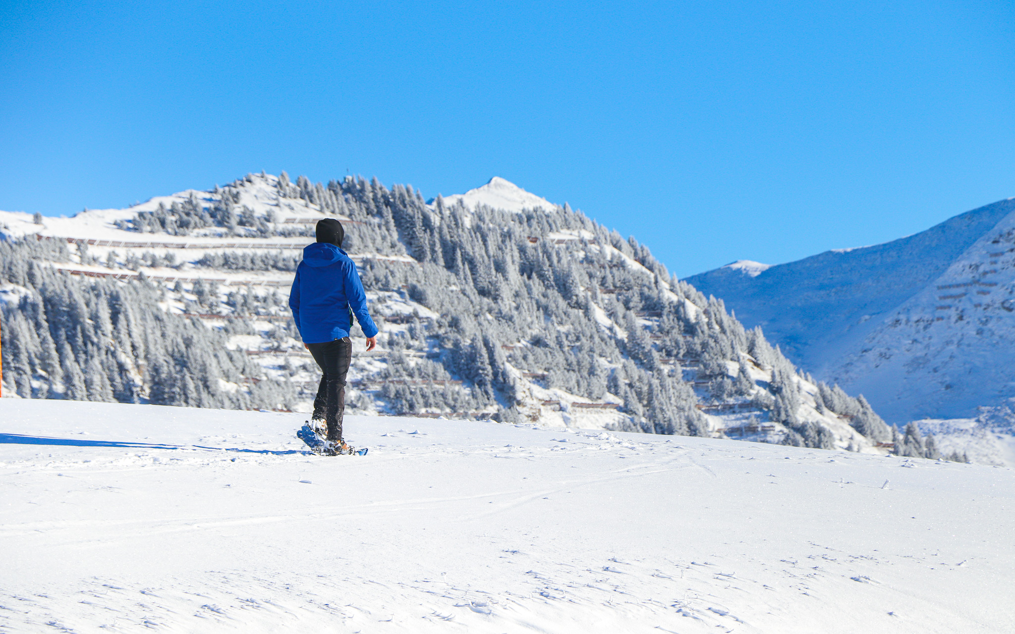 Begeleide sneeuwschoenwandeling