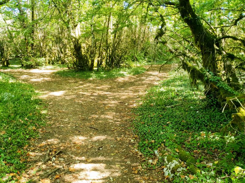 Circuit VTT n°18 (rouge) Les Hauts de Ceyzériat - Col de la Rousse_Ceyzériat