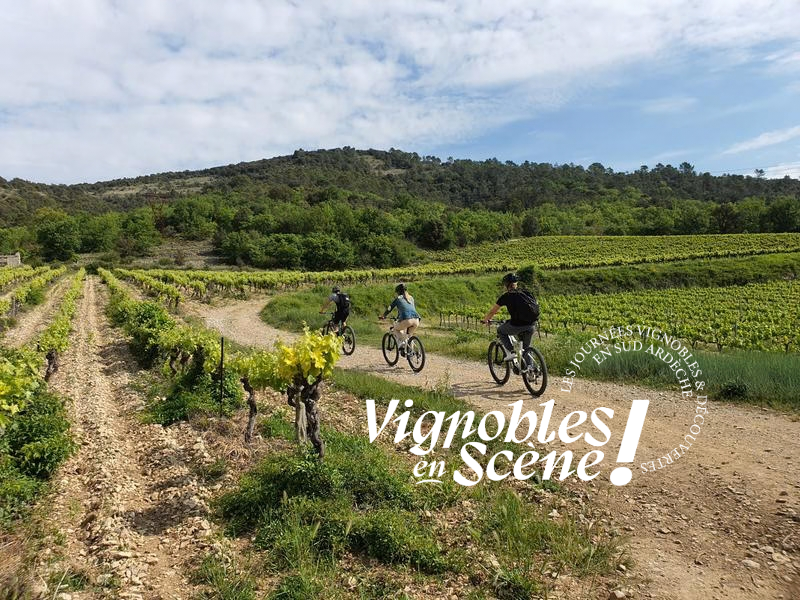 VelOeno Castagnade au Domaine Walbaum_Vallon-Pont-dArc